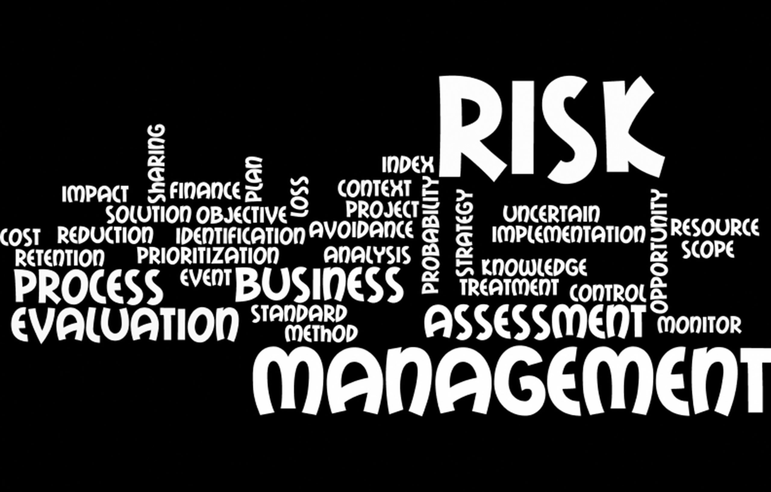 A word cloud of risk management.